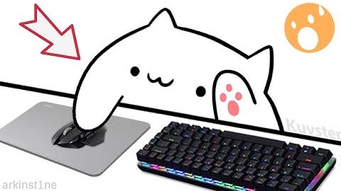 BONGO CAT Webcam Tutorial - Download and Setup (OBS STUDIOS)