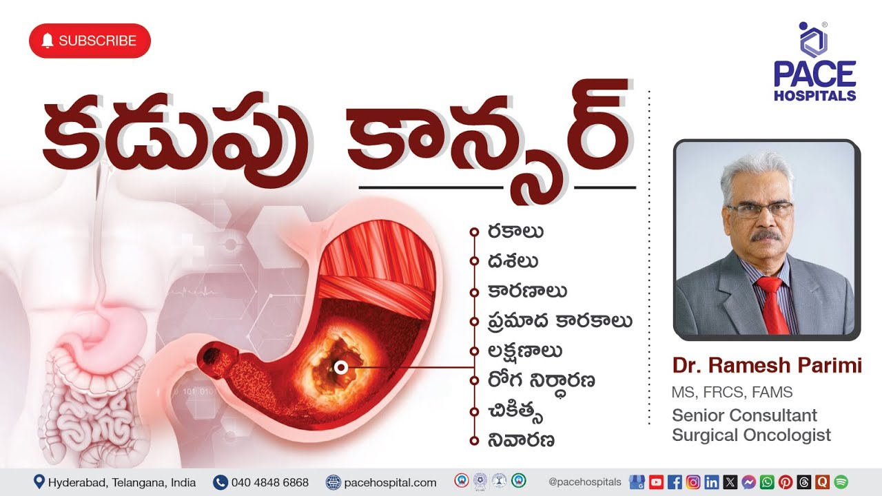 కడుపు క్యాన్సర్ - దశలు, కారణాలు, లక్షణాలు, ప్రమాదాలు, నిర్ధారణ & చికిత్స | Stomach Cancer in Telugu