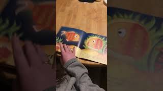 IMG 0929
