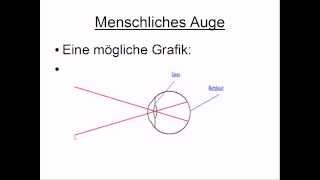 Menschliches Auge