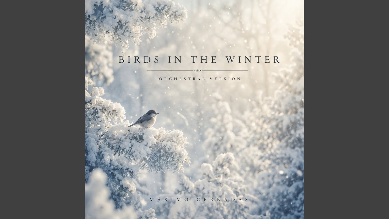 Birds in the Winter (Orchestral Version) - YouTube