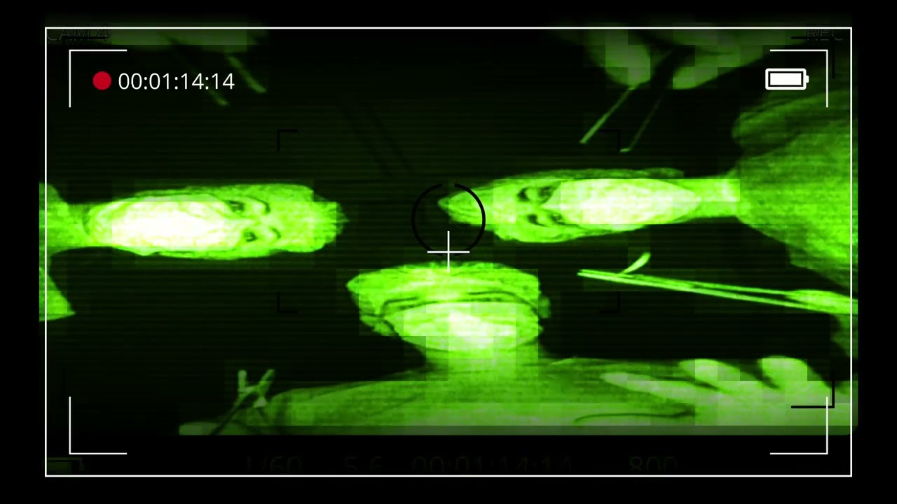 Carcass-No Love Lost cover(no vocals or leads).