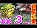 【雑草対策】私が実際にやって、雑草対策が超楽になった3つの方法😊/ 放っておいてOKな対策あり♪/ 雑草は抜きません🤭/ 防草シートの活用法が凄いっ‼️/ 雑草の特性を知れ💪【ガーデニング】