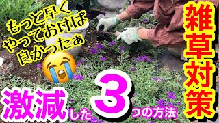 【雑草対策】私が実際にやって、雑草対策が超楽になった3つの方法/ 放っておいてOKな対策あり♪/ 雑草は抜きません/ 防草シートの活用法が凄いっ‼/ 雑草の特性を知れ【ガーデニング】