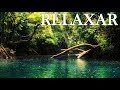 Acalmar a Mente: Música Relaxante Piano e Natureza - Relaxar