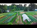 How to Start a Small Farm | A Step-by-Step Guide Mp3 Song