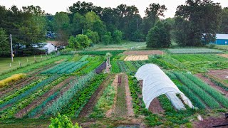 How To Start A Small Farm A Step-By-Step Guide