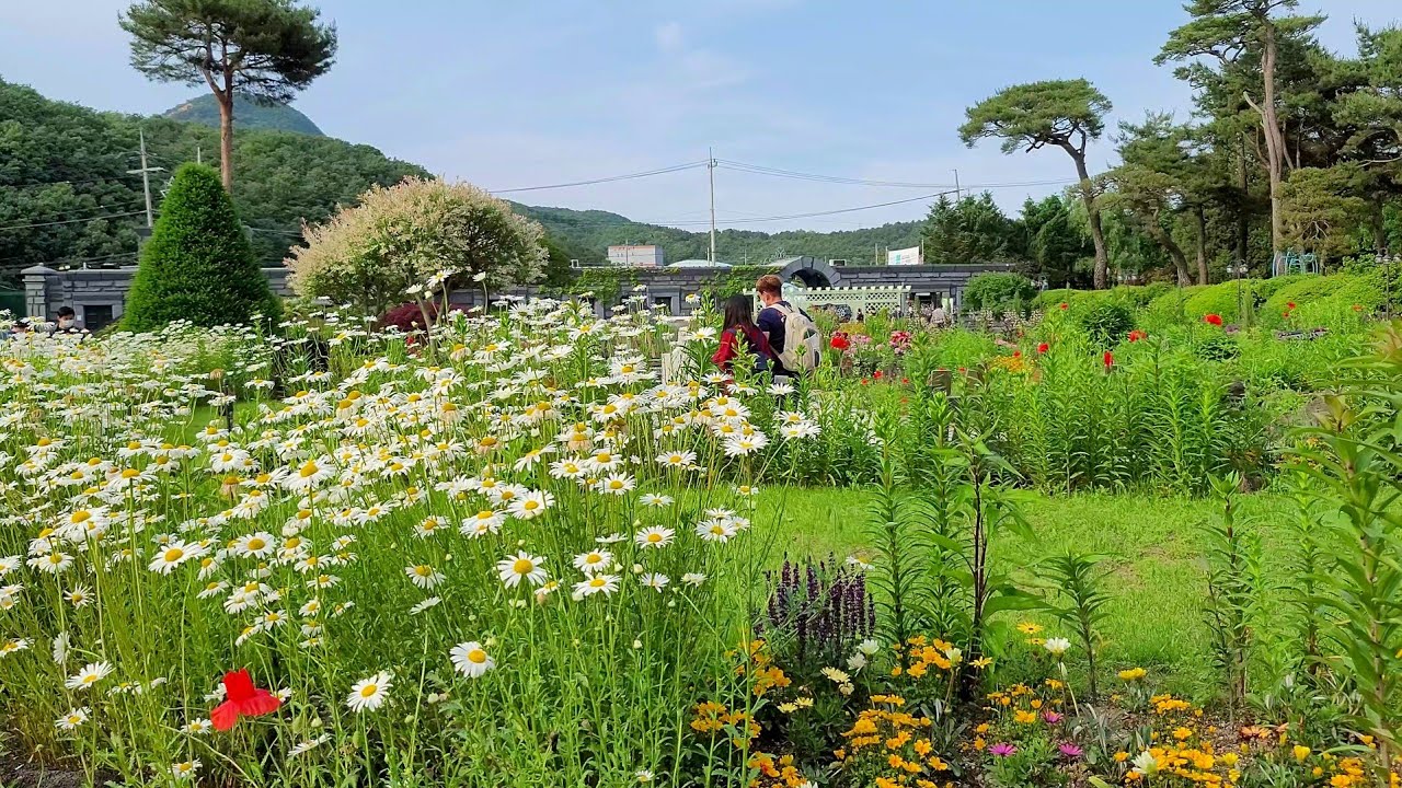 4K 𝐅𝐥𝐨𝐰𝐞𝐫 𝐆𝐚𝐫𝐝𝐞𝐧.Walking Tour - Byeokchoji Culture Arboretum - Paju City, South Korea ( Part. 1)