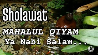 Sholawat Mahalul Qiyam - Ya Nabi Salam 'Alaika | Relaksasi suara air dan Burung