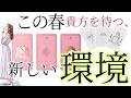 ４月～貴方を待ってる、人、環境、状況とは？✨現状で答え合わせをしてね♪仕事運動画💎未来予知リーディング🌎 チャネリング・タロット・オラクルで驚異の的中！タロット占い ３択