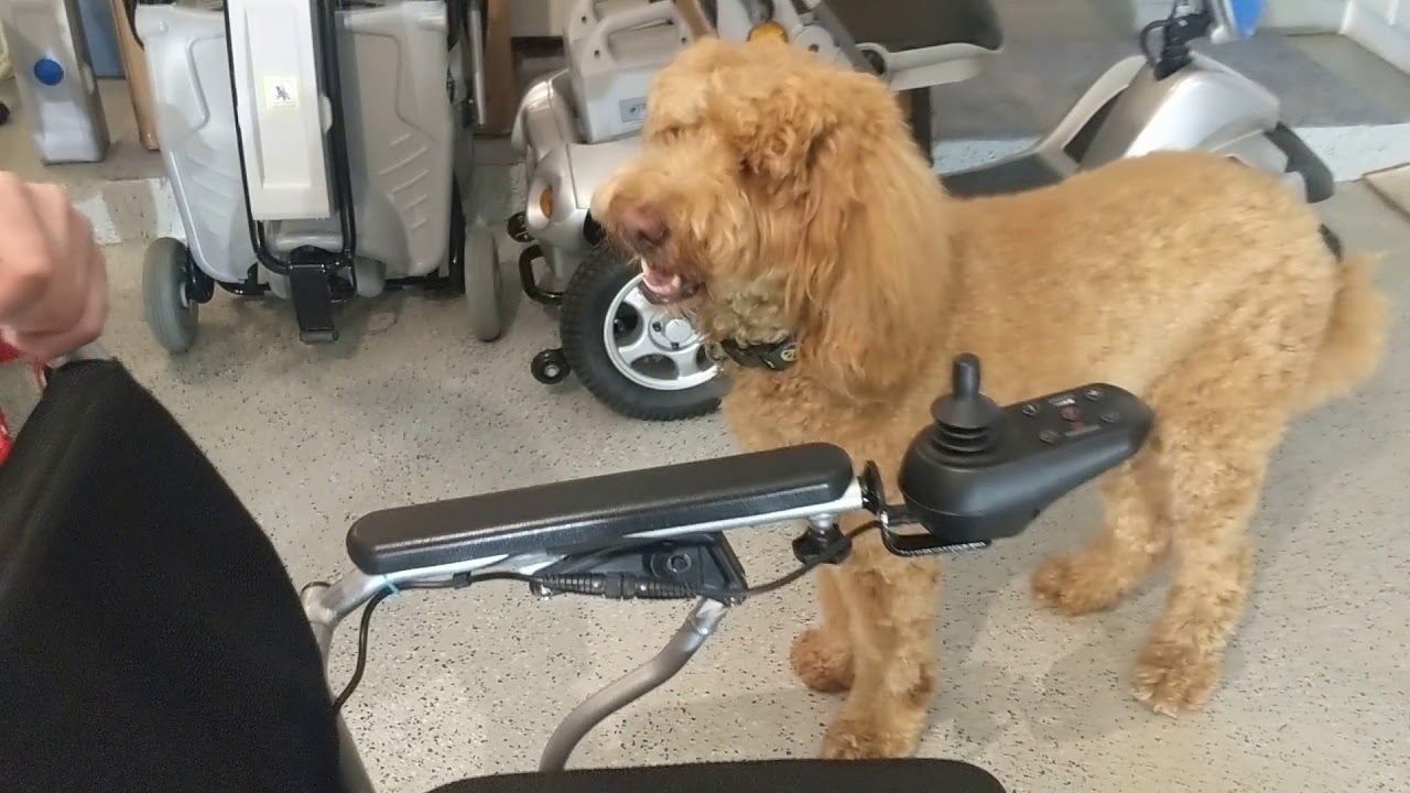 Troubleshooting Your Eagle or Electra7 Power Wheelchair