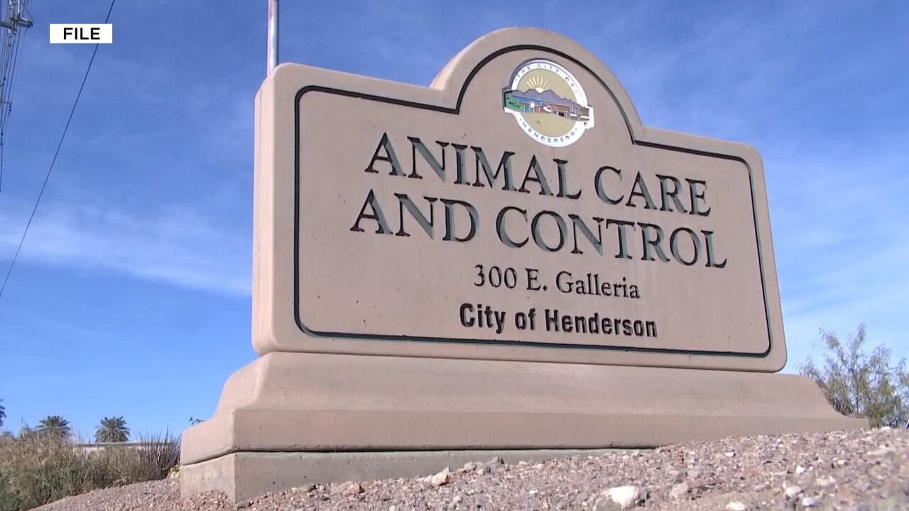 Henderson city council approves $3.2M for expansion of animal shelter