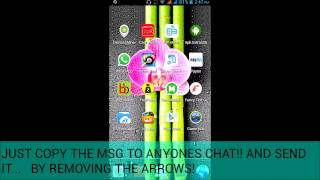 How to update blank status on whatsapp screenshot 4