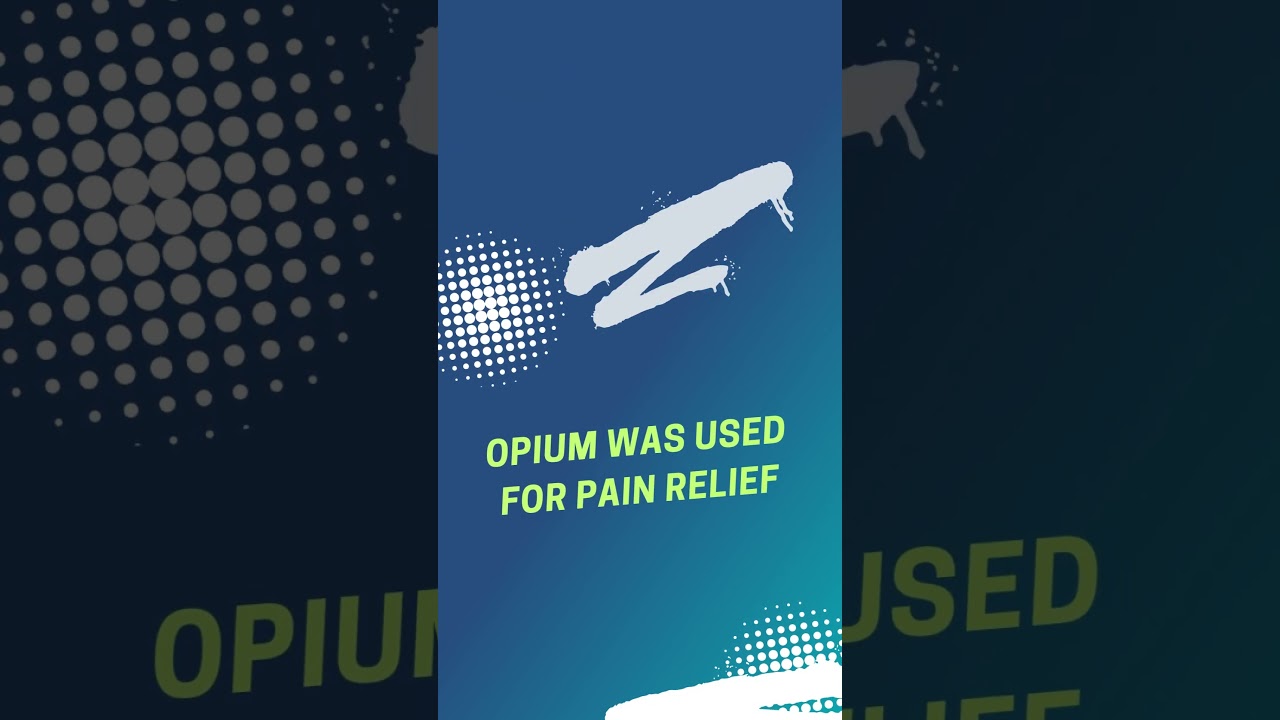 Unlocking Ancient Medicine Secrets: How Egyptians Used Honey as an Antibiotic 