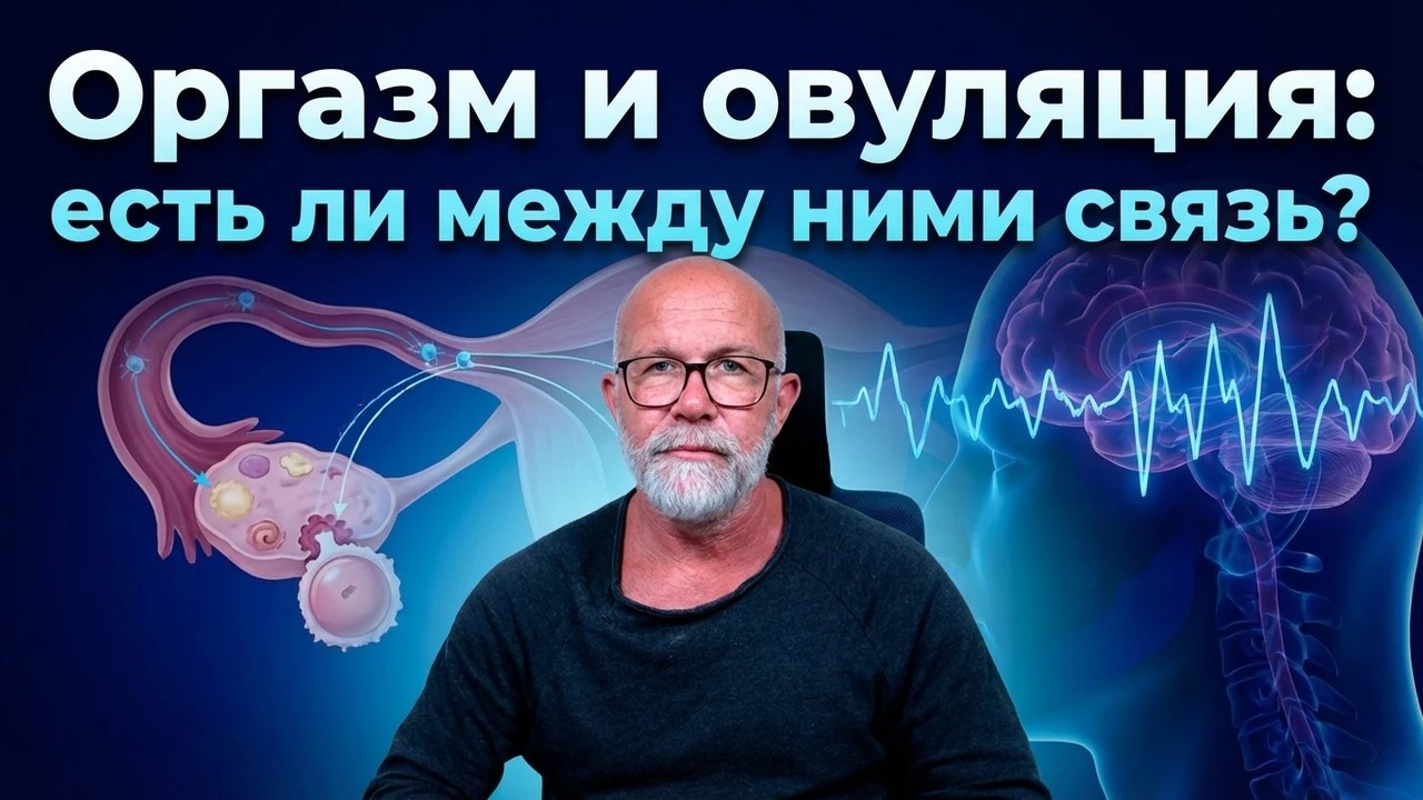 Оргазм и овуляция: есть ли между ними связь?