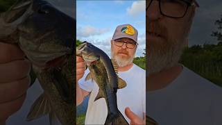 PB Crawler rides!!! #shorts #fyp #fishing #bassfishing #viral #wildlife #outdoors #shortsvideos