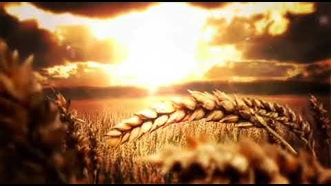 {إِلَّا تَنصُرُوهُ فَقَدْ نَصَرَهُ اللهُ} - تلاوة مؤثرة لبعض آيات سورة التوبة