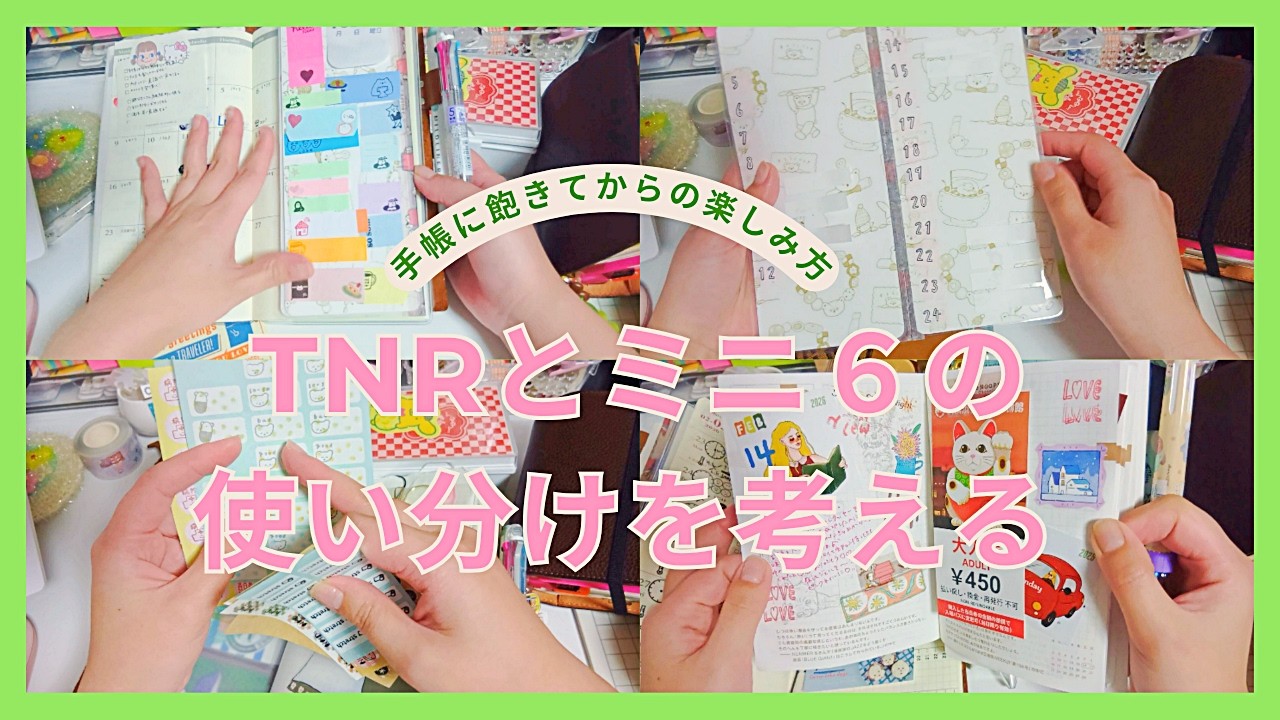 【手帳の使い方って無限だよね🥺♡】付箋パッド、スタぽん☺️ほぼ日手帳、システム手帳ミニ6、トラベラーズノートNo142♡2026年2月17日