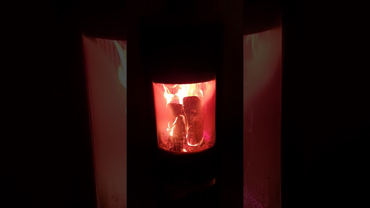 Waldemar der Weihnachtswolf 🐺