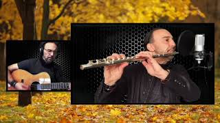 The Old Grey Mouse Project - Moths (Jethro Tull) screenshot 4