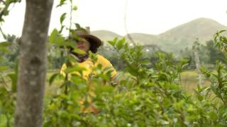 Download Lagu Ms Money Magnet USB-2 MP3