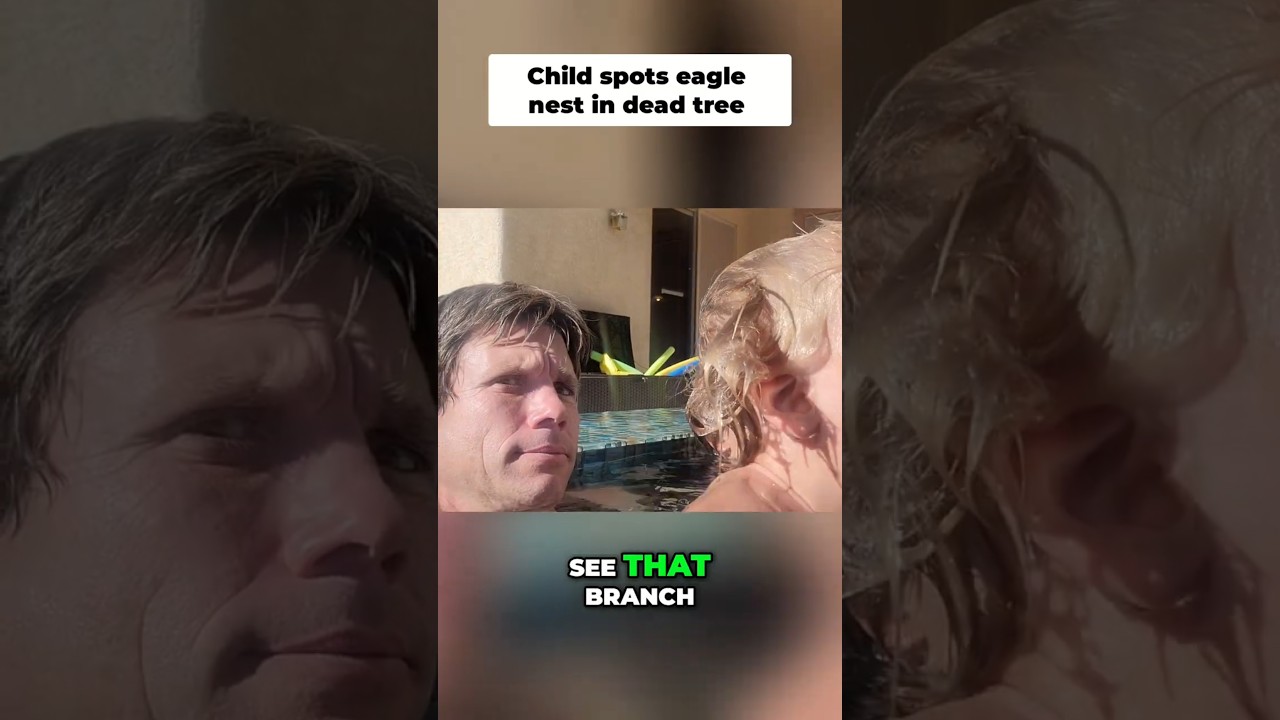 KIDS FIND SECRET NEST HIDDEN UNDERWATER IN POOL! 