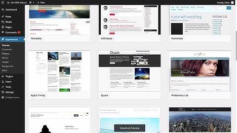 How to Install a Theme in WordPress?