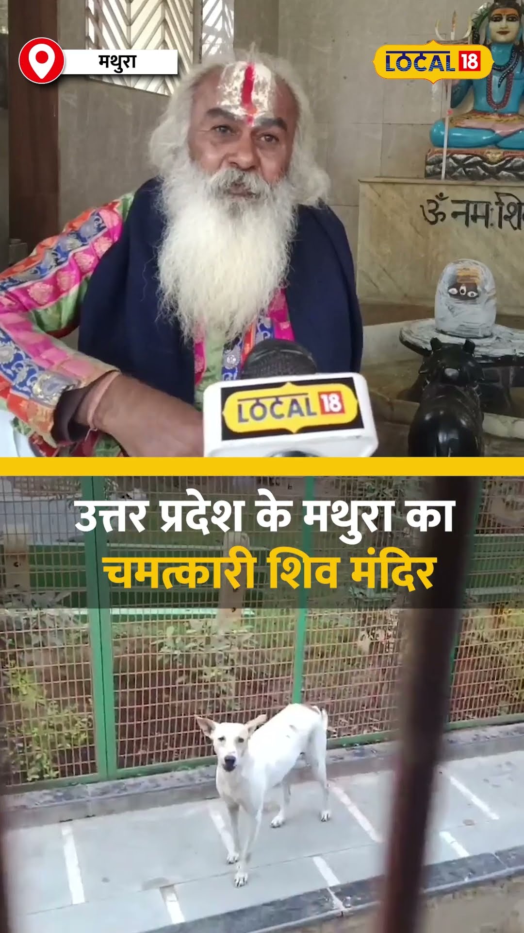 उत्तर प्रदेश के मथुरा का चमत्कारी शिव मंदिर, कुत्ते भी करते हैं भोलेनाथ की अराधना #local18shorts
