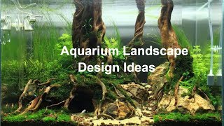 33 Best Aquarium Landscape Design Ideas #11