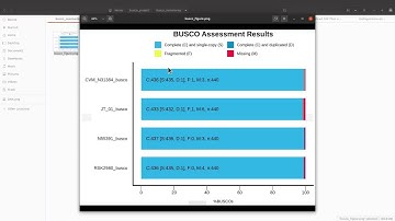 Visualize BUSCO Report for Genome Assemblies