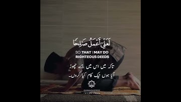 Surah Muminun Ayat 99-100 | سورة المؤمنون | Tareq Mohammad | القارئ طارق محمد