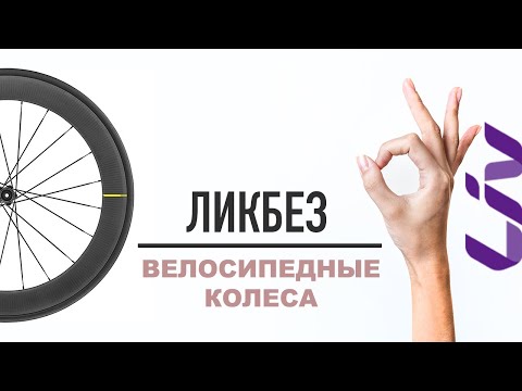 Ликбез: велосипедные колеса