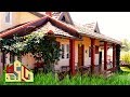 Veedu: 3 Lakhs Budget House | Furnished with eucalyptus trees Kotagiri | 24/11/2018