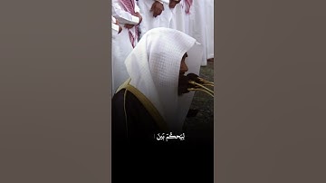 #تلاوة_خاشعة من #سورة_البقرة، للمبدع الشيخ/ #عبدالله_القرافي. #القرآن_الكريم