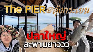 The Pier Resort @คุ้งกระเบน จันทบุรี  " ราคาดี มีปลาเยอะ " @finadii