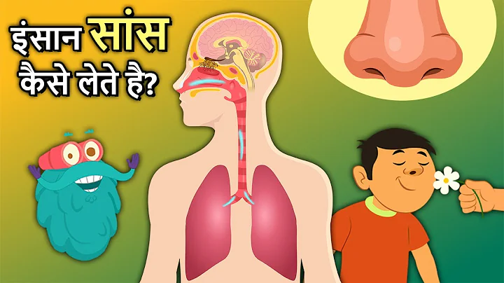 इंसान सांस कैसे लेते है? | How Human Nose Works In Hindi | Respiratory System | Dr. Binocs Show
