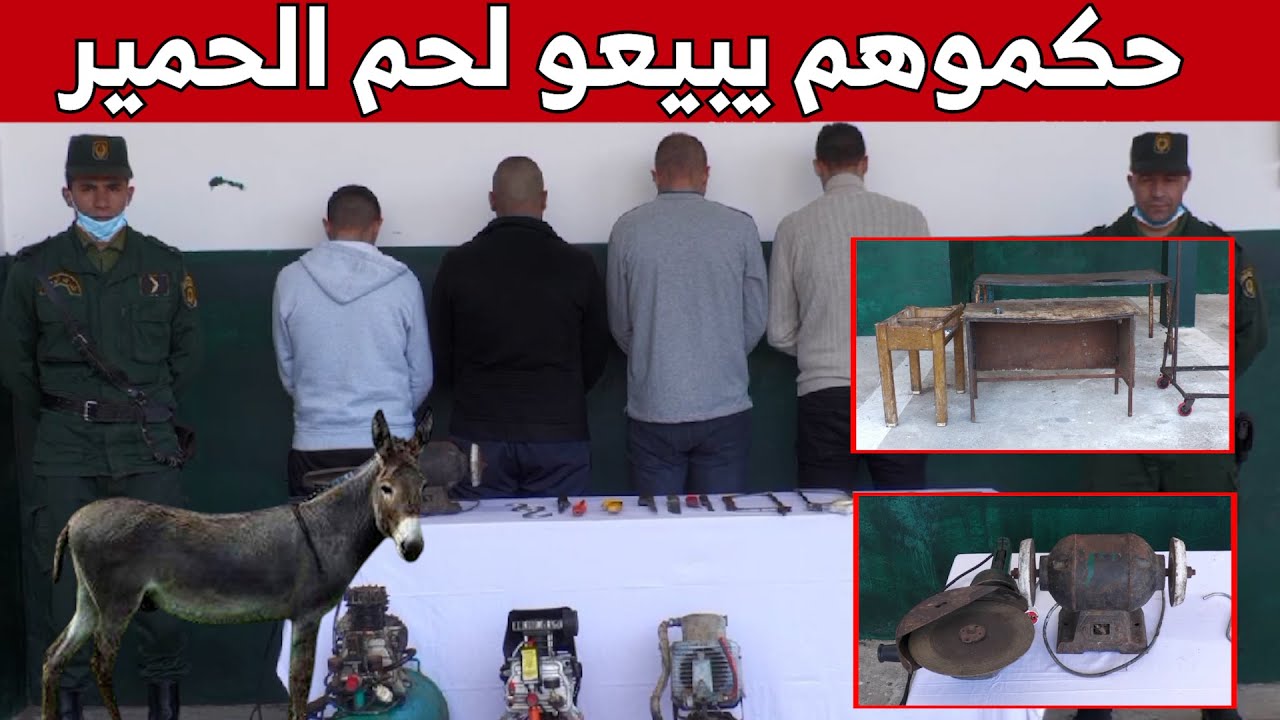 درك وهران يوقف 4 متوّرطين في تسويق لحوم الحمير! شاهدوا