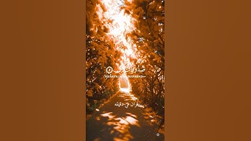 قران كريم ارح قلبك وسمعك #قران_في_دقيقة #المصحف #quran #سعد_الغامدي #قران @قران_في_دقيقة