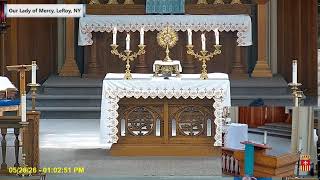 Our Lady of Mercy LeRoy Live Stream