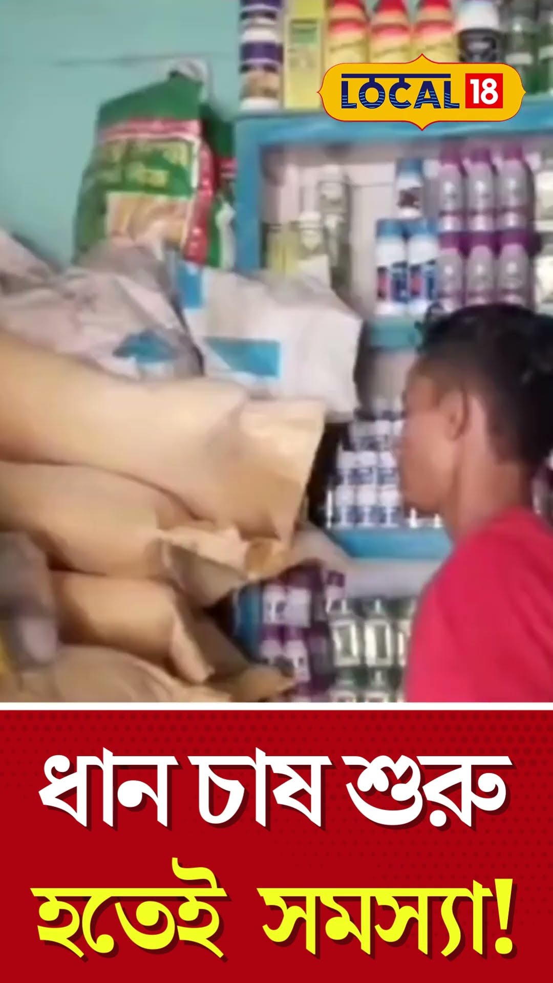 Bangla News | ধান চাষের প্রস্তুতি শুরু হতেই এই সমস্যায় পড়ল জেলার কৃষকেরা | Farmers | #local18shorts