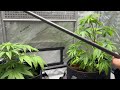 Plant Stakes... Yeah...