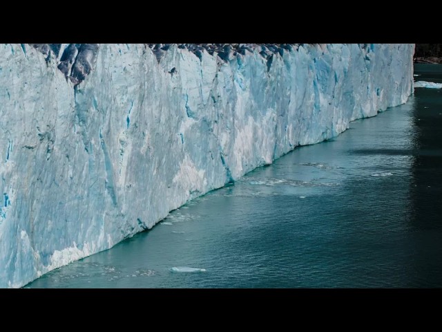 Life underneath an ice shelf