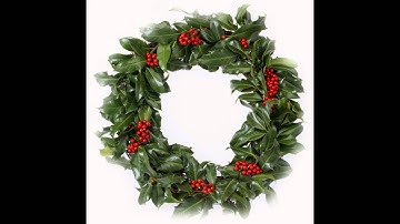 Winter Video for Kids & Toddlers: Learn to Read