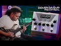 The DOVER Amplification DA- GVP | Girthy, Veiny and Purple?!