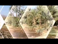 Video 20170507210422350 By Videoshow 