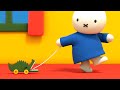 Miffy et le crocodile  les petites et grandes aventures de miffy  dessins anims pour enfants