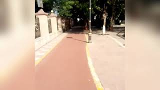 Neha Maheta Live Suit