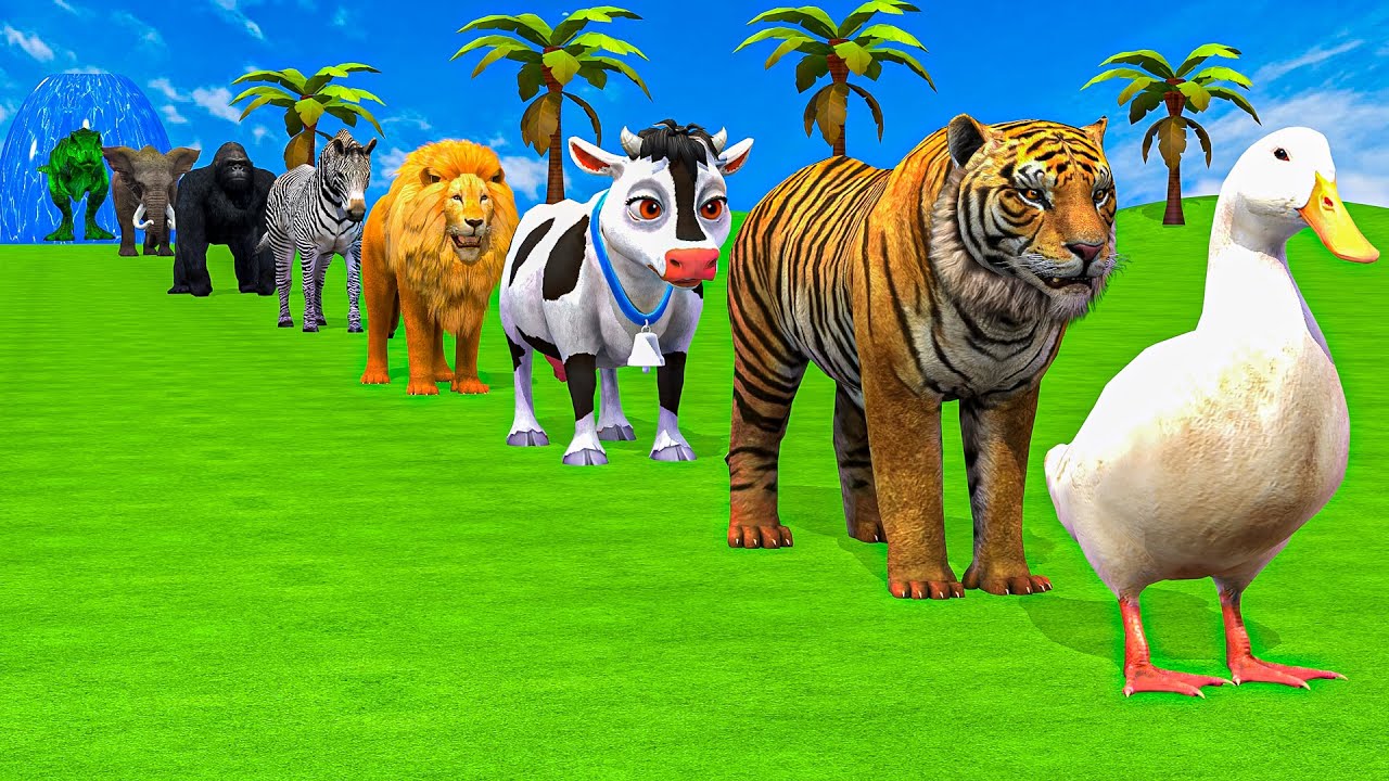 Long Slide Game With Cow Elephant Gorilla Hippopotamus Tiger - 3d Animal Game - Funny 3d Animals