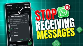 How to Stop Receiving WhatsApp Messages Without Blocking | Turn on D&D on WhatsApp