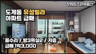 ((급매))도계동 유성빌라 1.3억 저층 올수리, 방3욕실2, 전용넓음 -창원참조은부동산